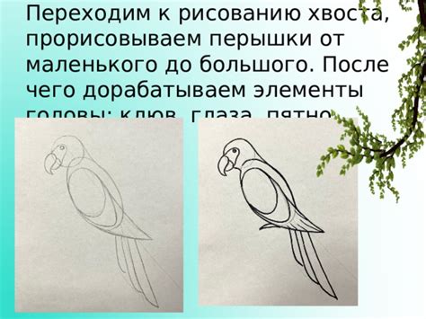 Переходим к рисованию гривы и хвоста