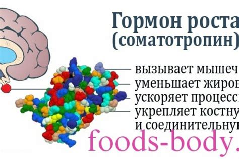 Питание, способствующее выработке гормона роста