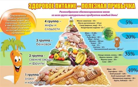 Питание и привычки гномика