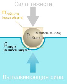 Плавучесть