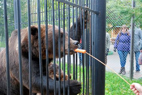 Планируйте свой визит в зоопарк Лимпопо зимой