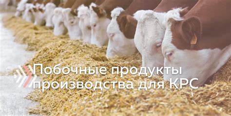 Побочные продукты