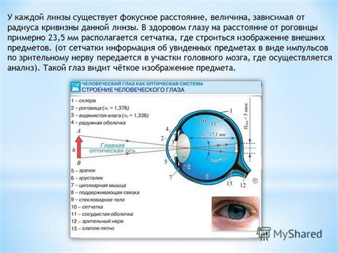 Повышение характеристик глаза