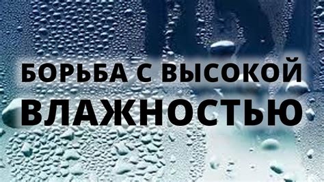 Повышенная влажность: залог успеха