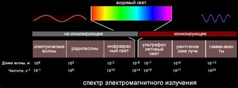 Поглощение СВЧ излучения организмом