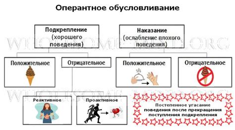 Подача и подкрепление