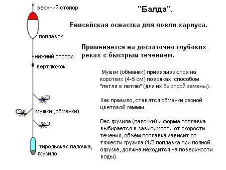 Подбор места ловли хариуса