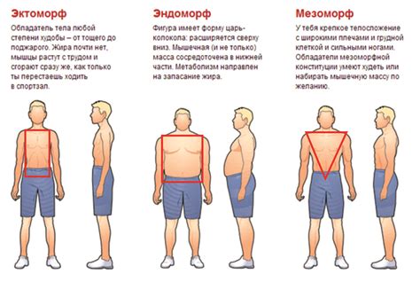 Подбор формы одежды для вашего телосложения