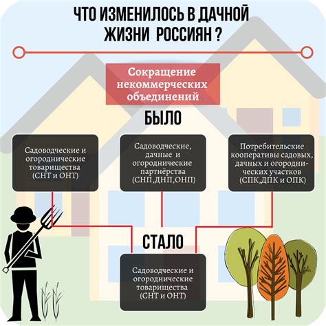 Подводя итоги: структура и справочная информация о СНТ