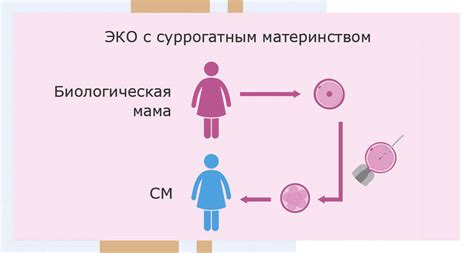 Подготовка к программе суррогатного материнства