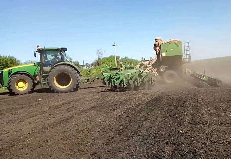 Подготовка почвы для выращивания кокосового дерева