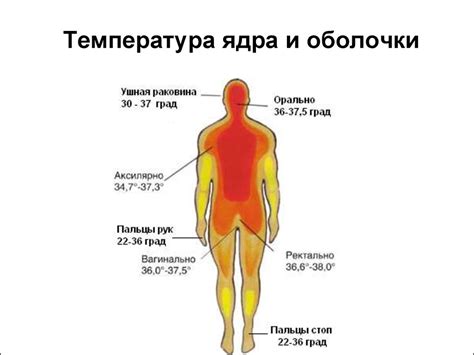 Поддержание энергии в организме