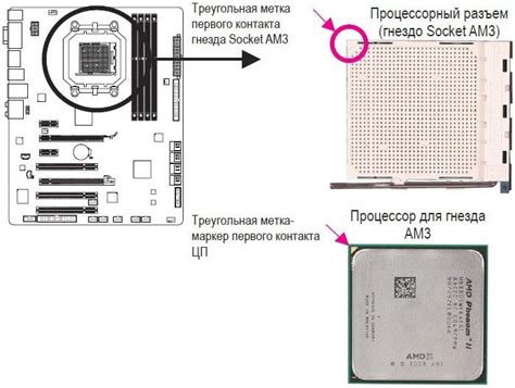 Подключение процессора алпайн 800 к системе