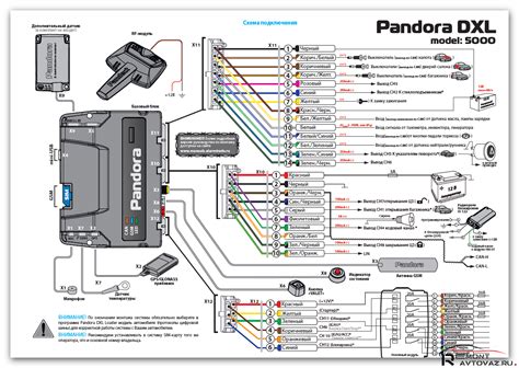 Подключение сигнализации Pandora к автомобилю