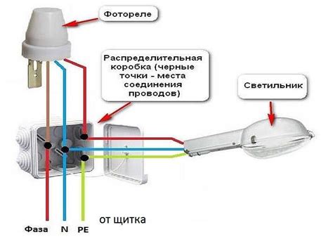 Подключение электричества и установка освещения