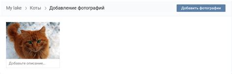 Подождите, пока аватарка загрузится и применится