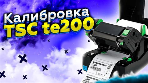 Подробная настройка принтера TSC TE200 для печати этикеток Wildberries