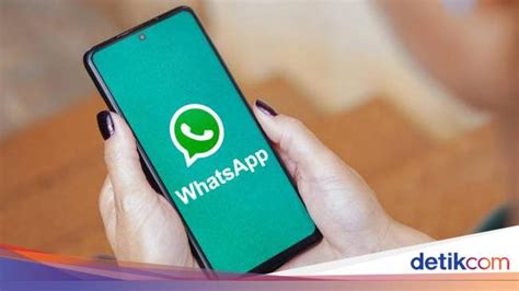 Познакомьтесь с WhatsApp: что это и какие возможности приложения