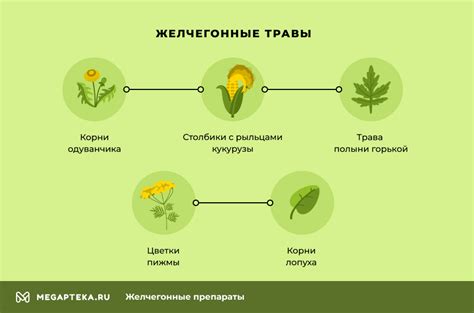 Полезные дополнения к сну: препараты и травы