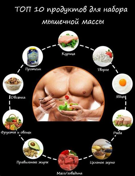 Полезные продукты для набора мышечной массы