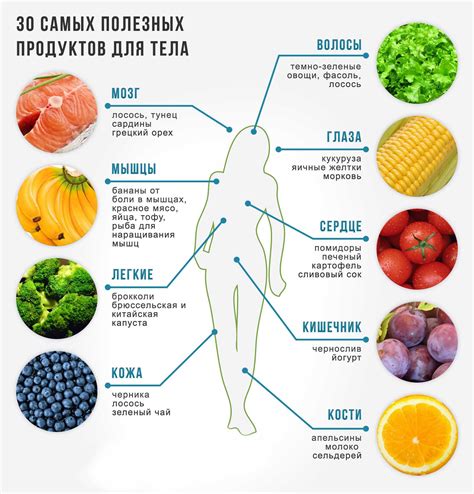 Полезные продукты для правильного питания