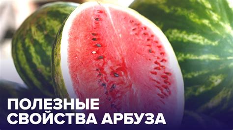 Полезные свойства арбуза при хранении