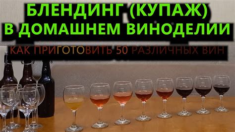 Полезные советы: избавление от пектинов в домашнем виноделии