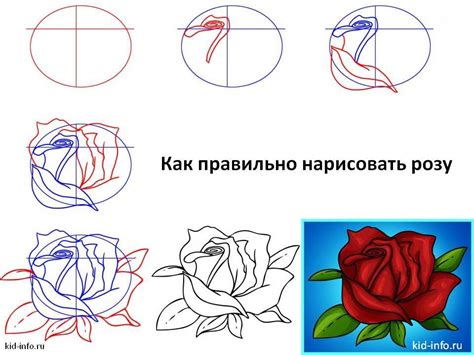 Полезные советы для рисования розы