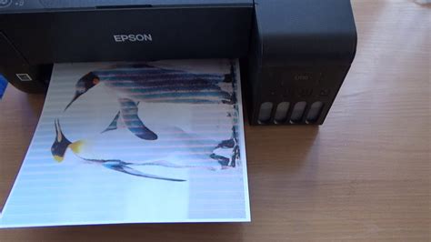 Полезные советы для успешной печати грамот на принтере Epson