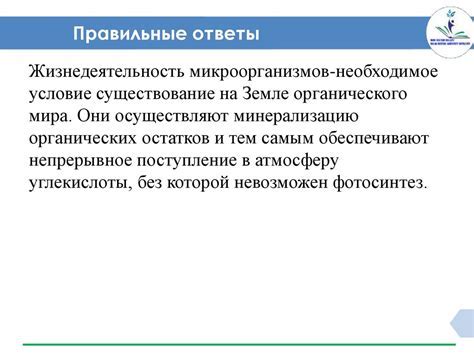 Положительные и отрицательные стороны использования выключателя массы