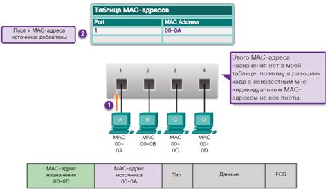 Получение MAC-адреса телевизора LG Smart