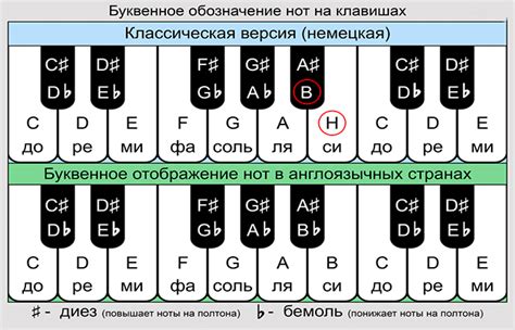 Польза и важность определения тональности баса