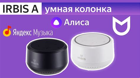 Пользование основными функциями колонки Ирбис А