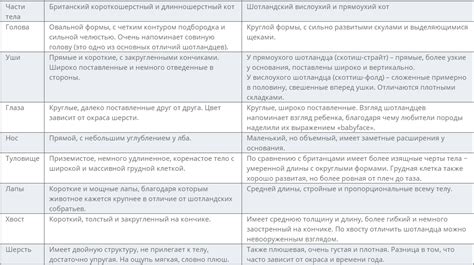 Понимание основных принципов выбора клички