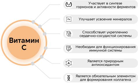 Пополнение запасов витамина C