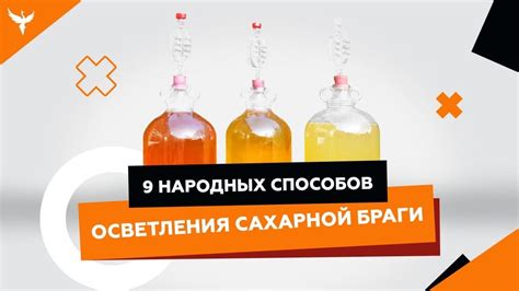 Популярные методы очистки сахарной браги