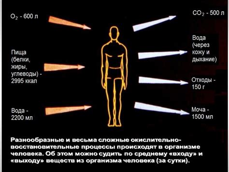 Последствия отрицательной оценки показателя ОВП воды для экономики