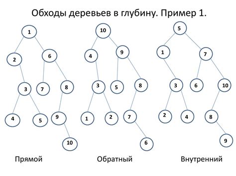 Построение основы дерева