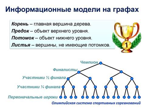 Построение структуры информационной модели