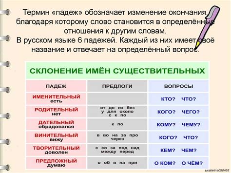 Почему важно знать падежи существительных