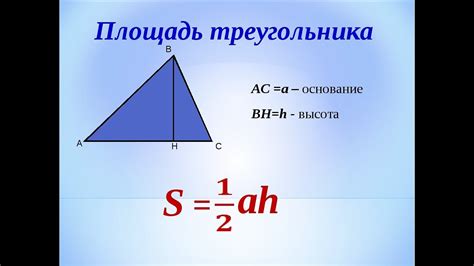 Почему важно знать площадь треугольника?