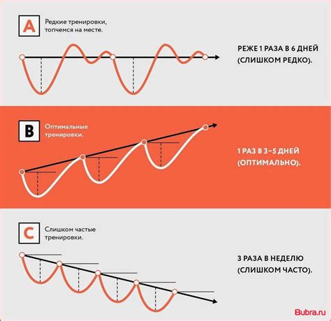 Почему восстановление беруш очень важно