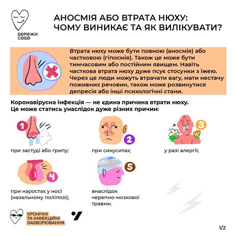 Почему исчезает обоняние при простуде?