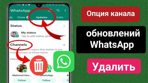 Почему отключение обновлений WhatsApp может быть полезным