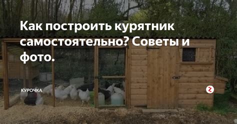 Почему стоит делать курятник самостоятельно