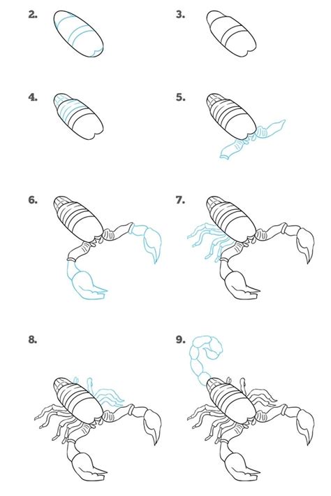 Пошаговая инструкция: рисование скорпиона на ноже