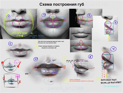 Пошаговая схема рисования губ