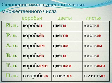 Правила написания числа 11 в разных падежах