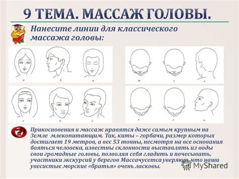 Правила проведения массажа головы