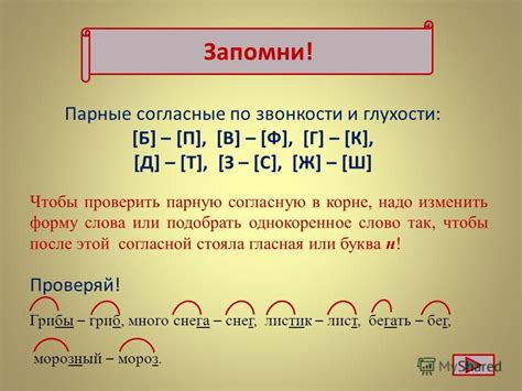 Правило сомнительных согласных в слове 2 класса